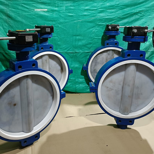 Industrial Butterfly Valve Manufacturer in Ahmedabad