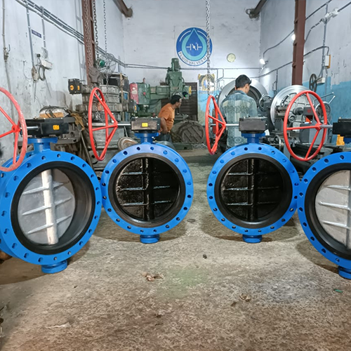 Butterfly Valve Manufacturer in Lucknow